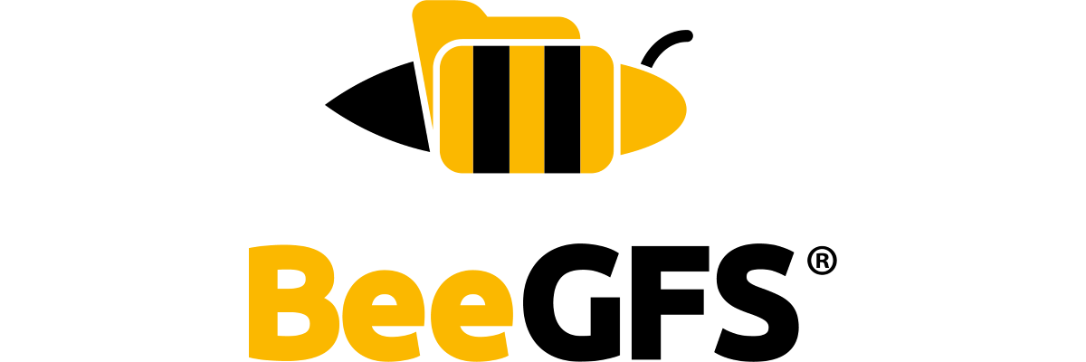 BeeGFS Partner